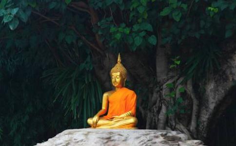 佛陀在菩提树下证悟了什么?